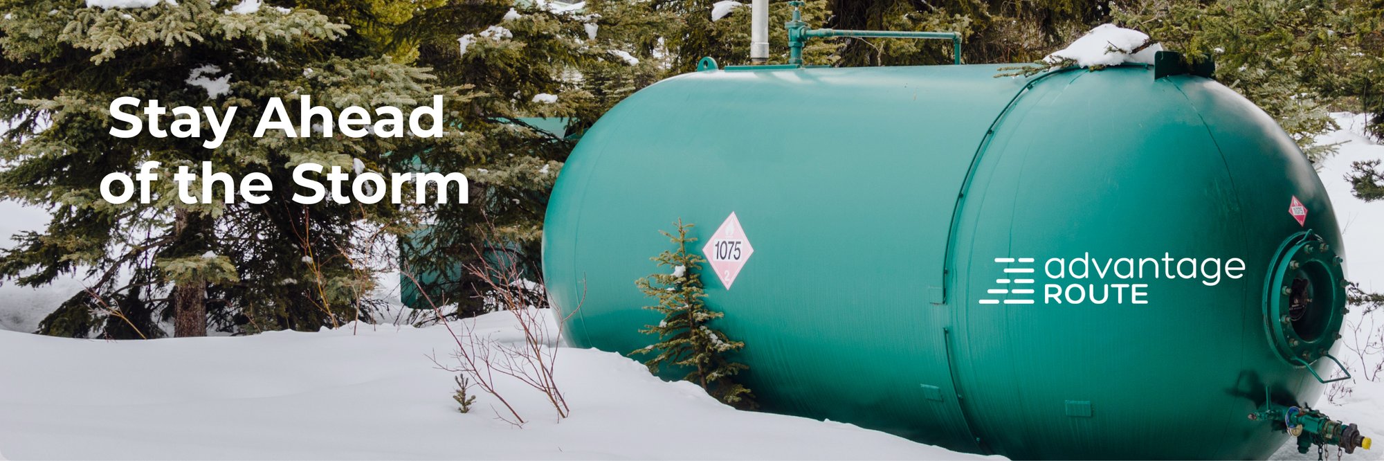 Winter Storms Header