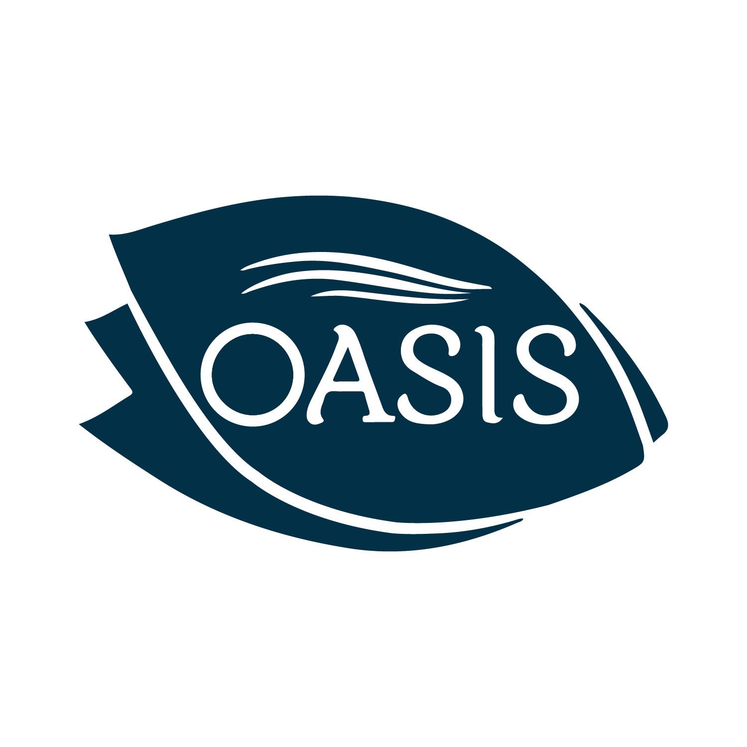 Oasis Client LOGO - Navy - ADVANTAGE ROUTE-01