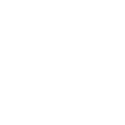 oasis_smaller